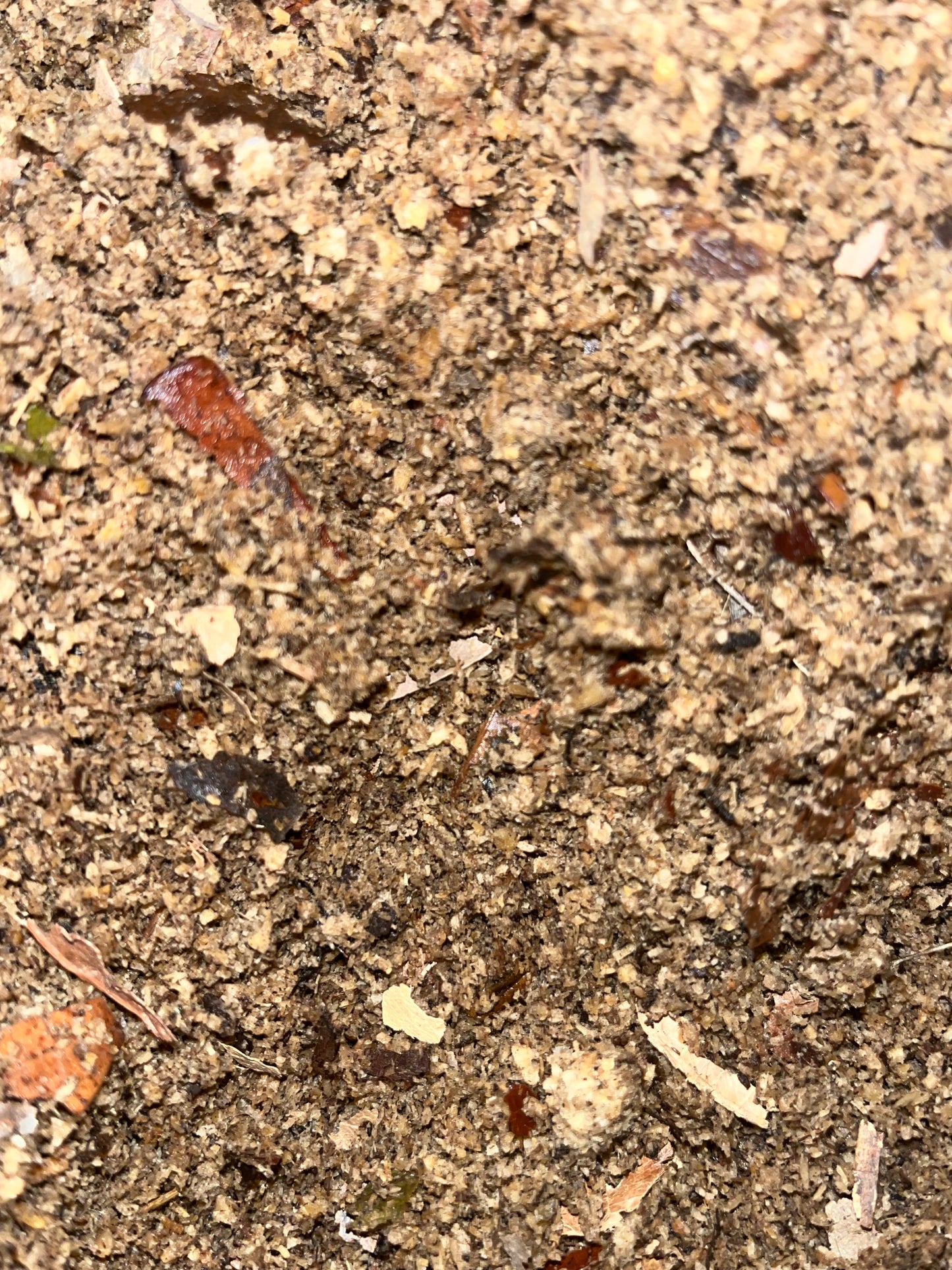 Slow-Release Substrate Food for sale UK