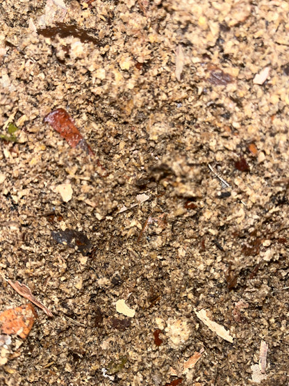 Slow-Release Substrate Food for sale UK
