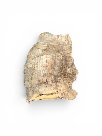 Cork Bark for sale UK