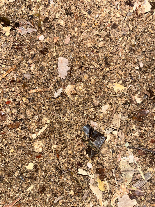 Slow-Release Substrate Food for sale UK