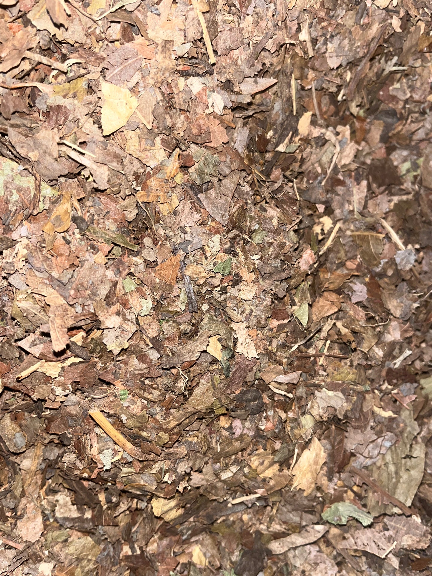 Crushed Leaf Litter for sale UK