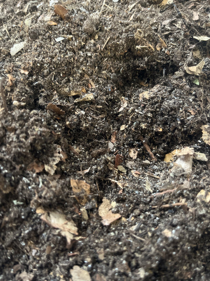 Isopod Substrate