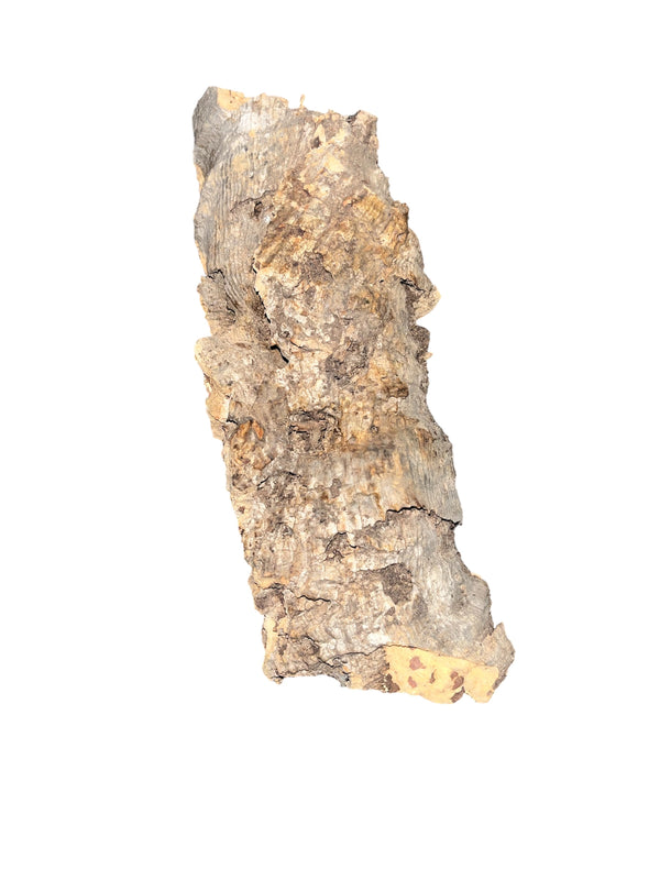 Cork Bark for sale UK