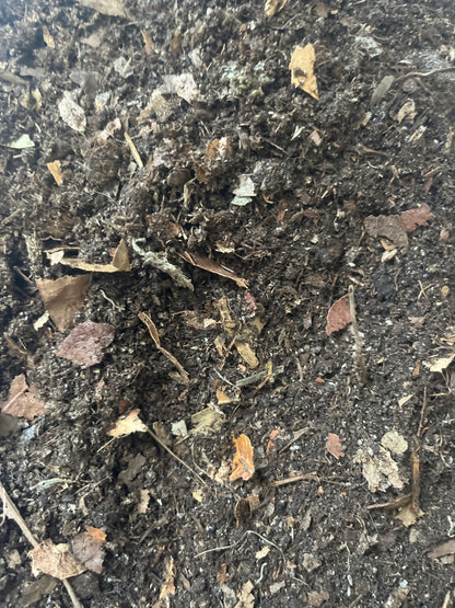 Isopod Substrate