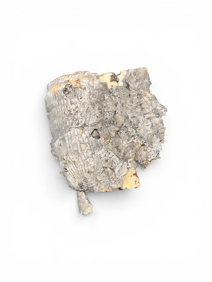 Cork Bark for sale UK