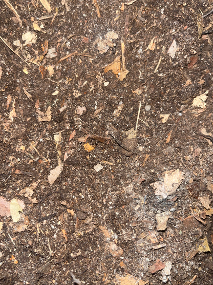 Isopod Substrate