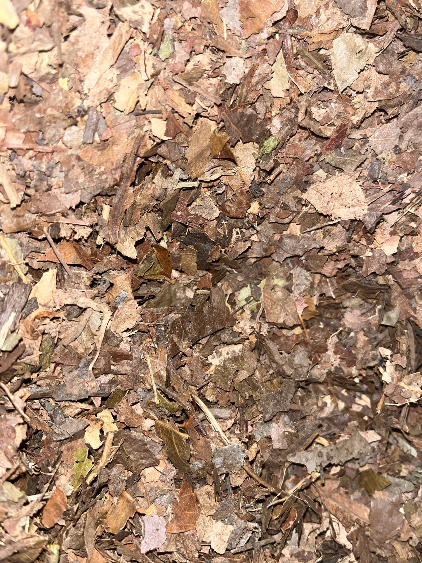 Crushed Leaf Litter for sale UK