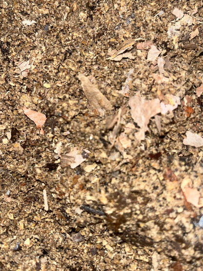 Slow-Release Substrate Food for sale UK