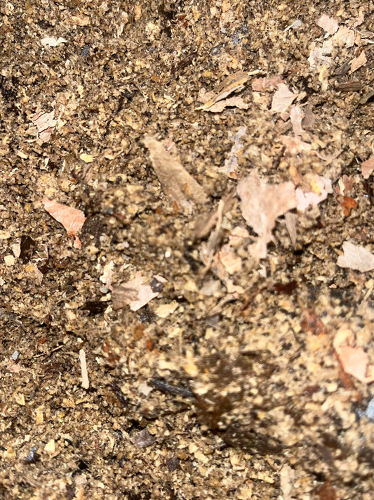 Slow-Release Substrate Food for sale UK