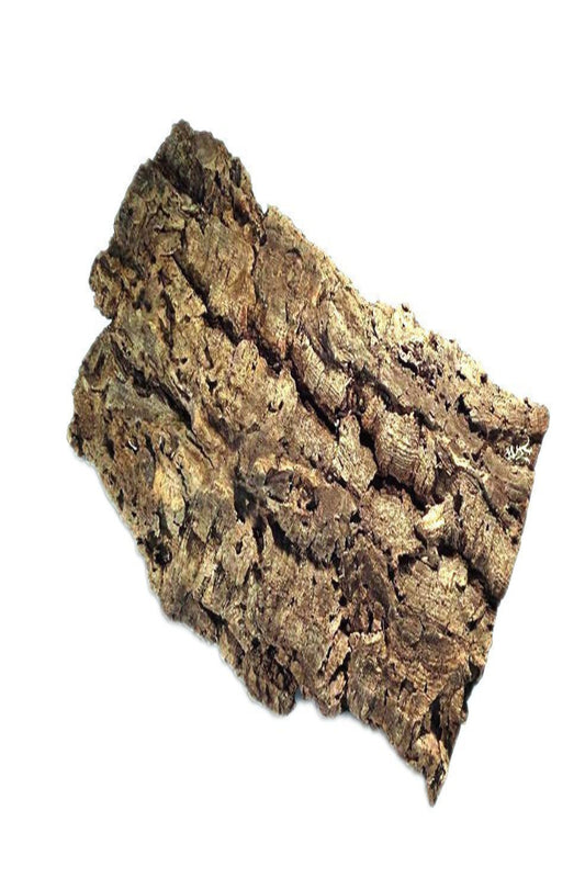 SMALL CORK BARK