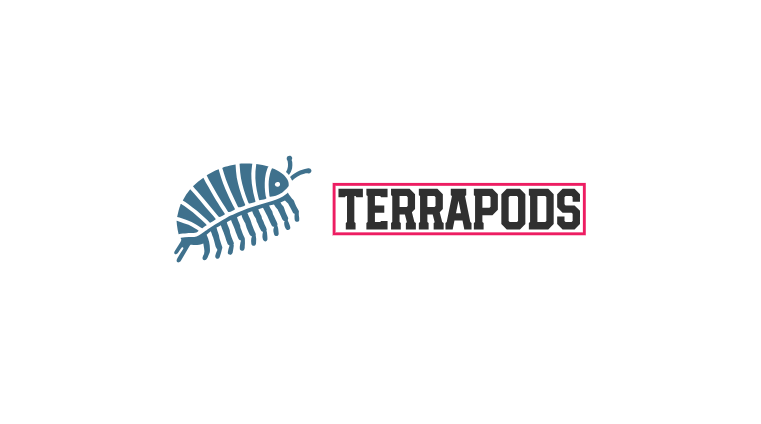 T - Exotics